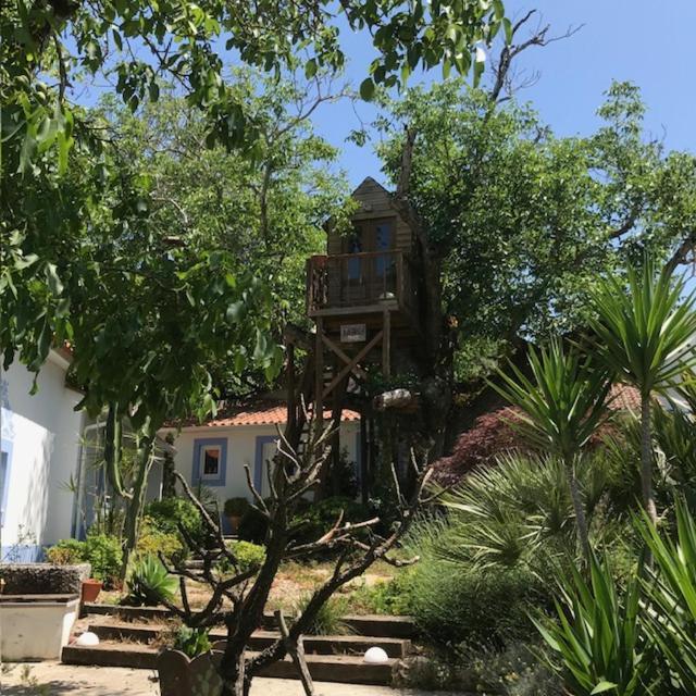 Casa Oliva - Casa Da Serra Porto de Mós المظهر الخارجي الصورة