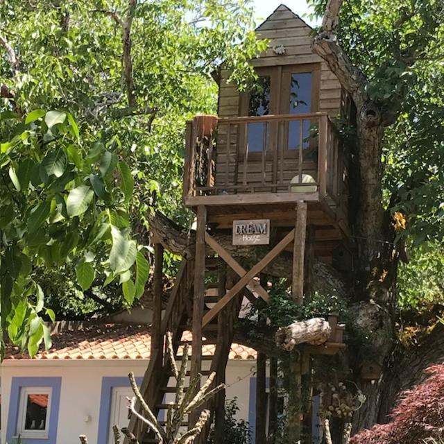 Casa Oliva - Casa Da Serra Porto de Mós المظهر الخارجي الصورة