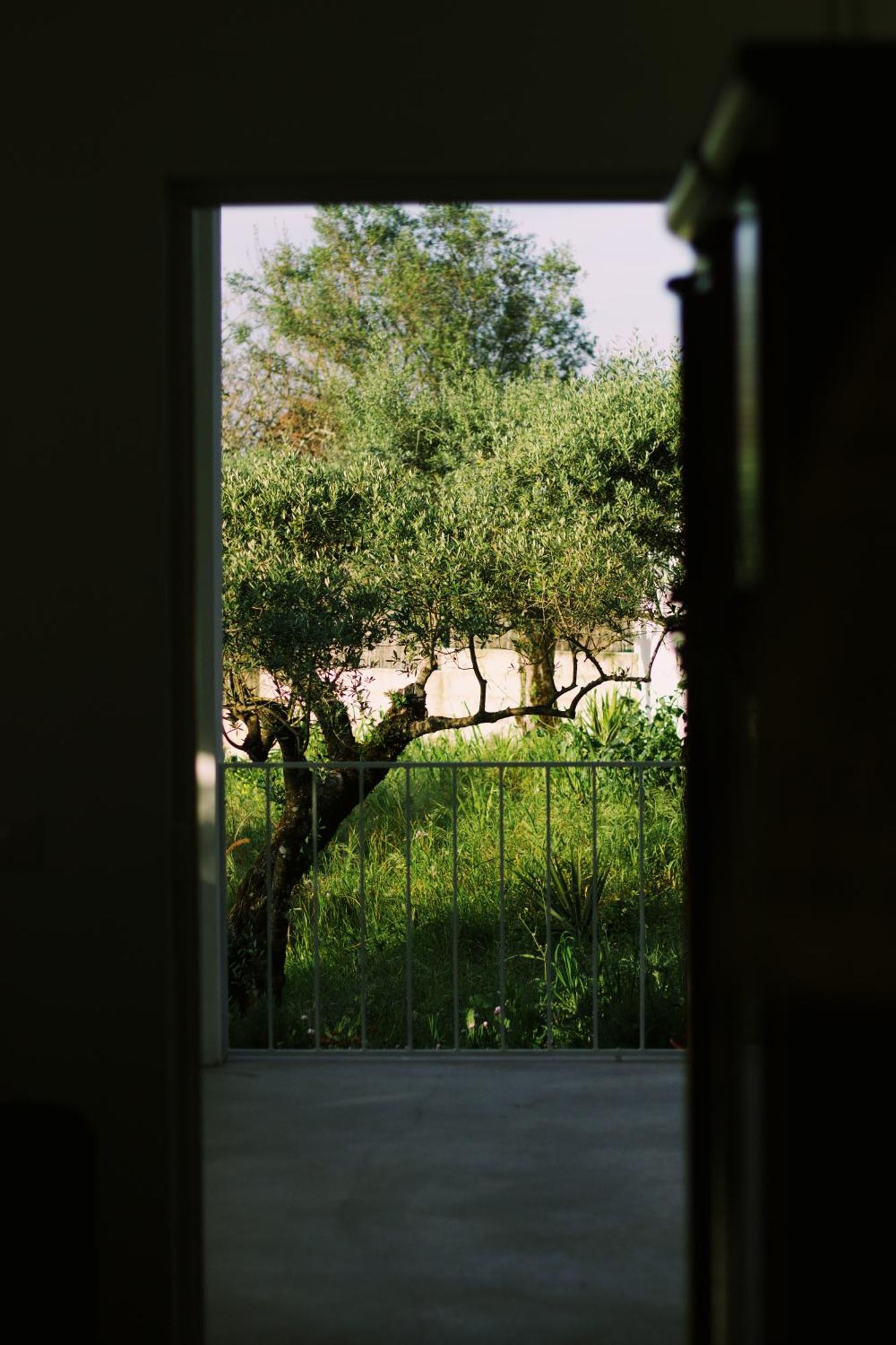 Casa Oliva - Casa Da Serra Porto de Mós المظهر الخارجي الصورة